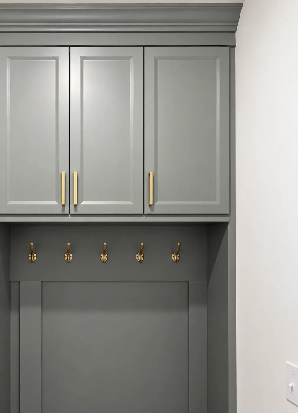 Hooks closet accessory