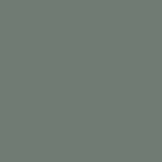 Sage finish sample