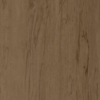 Karisma_Salt Of The Earth