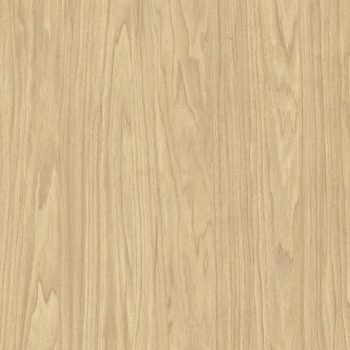 Viva_Casting At First Light